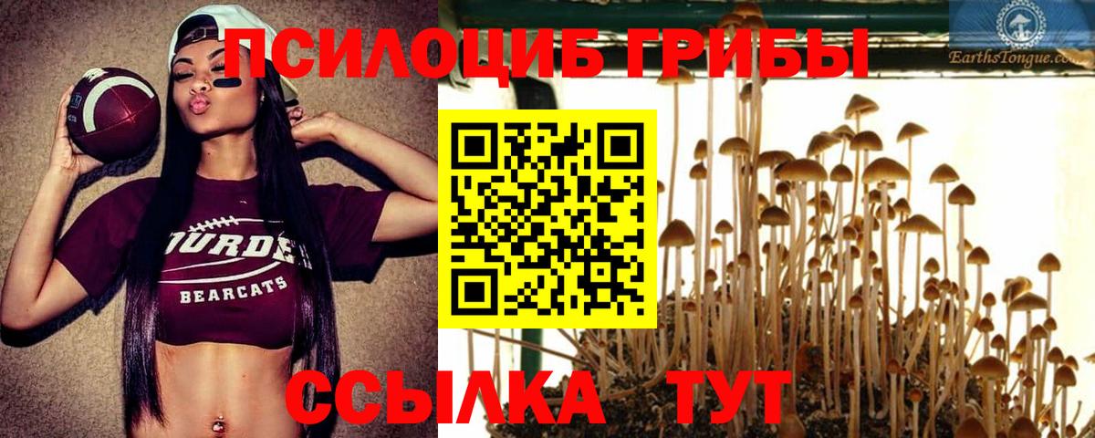 Псилоцибиновые грибы мицелий Тельмана